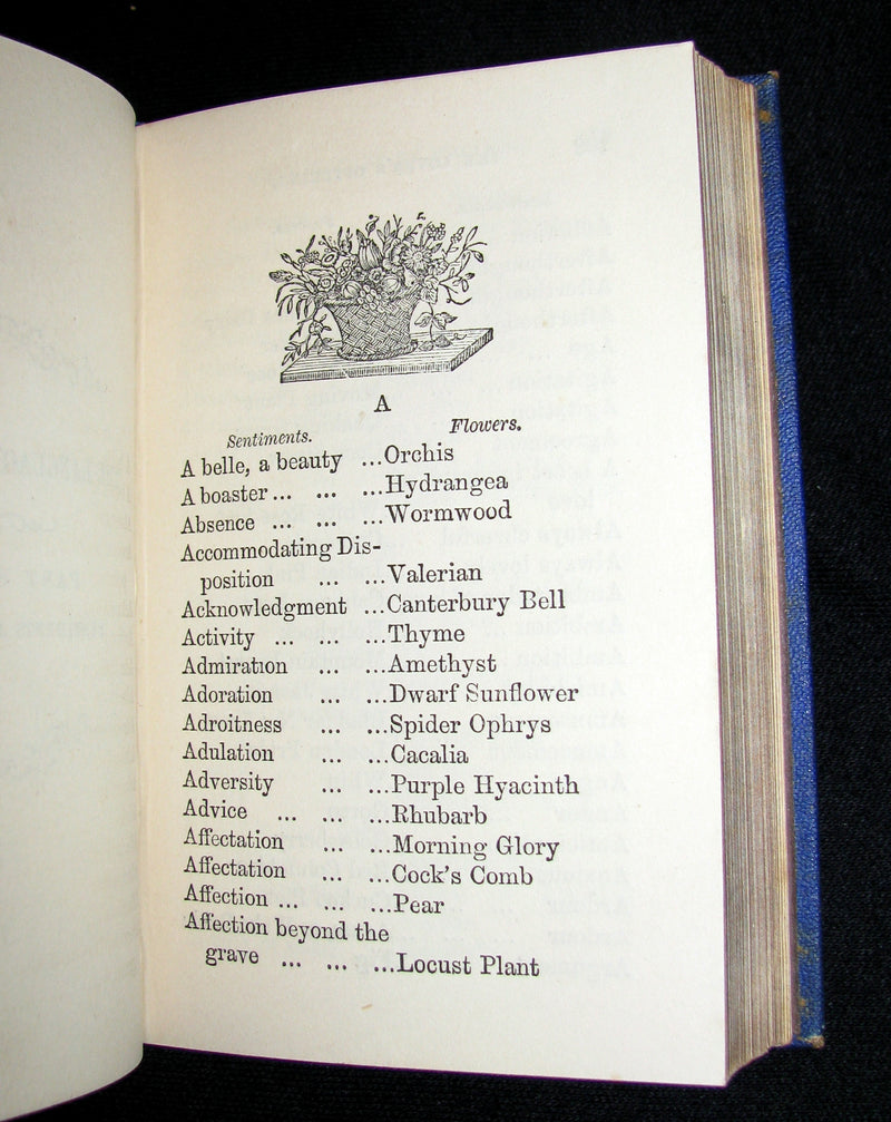 1868 Scarce Book ~ The Lover's Language of Flowers