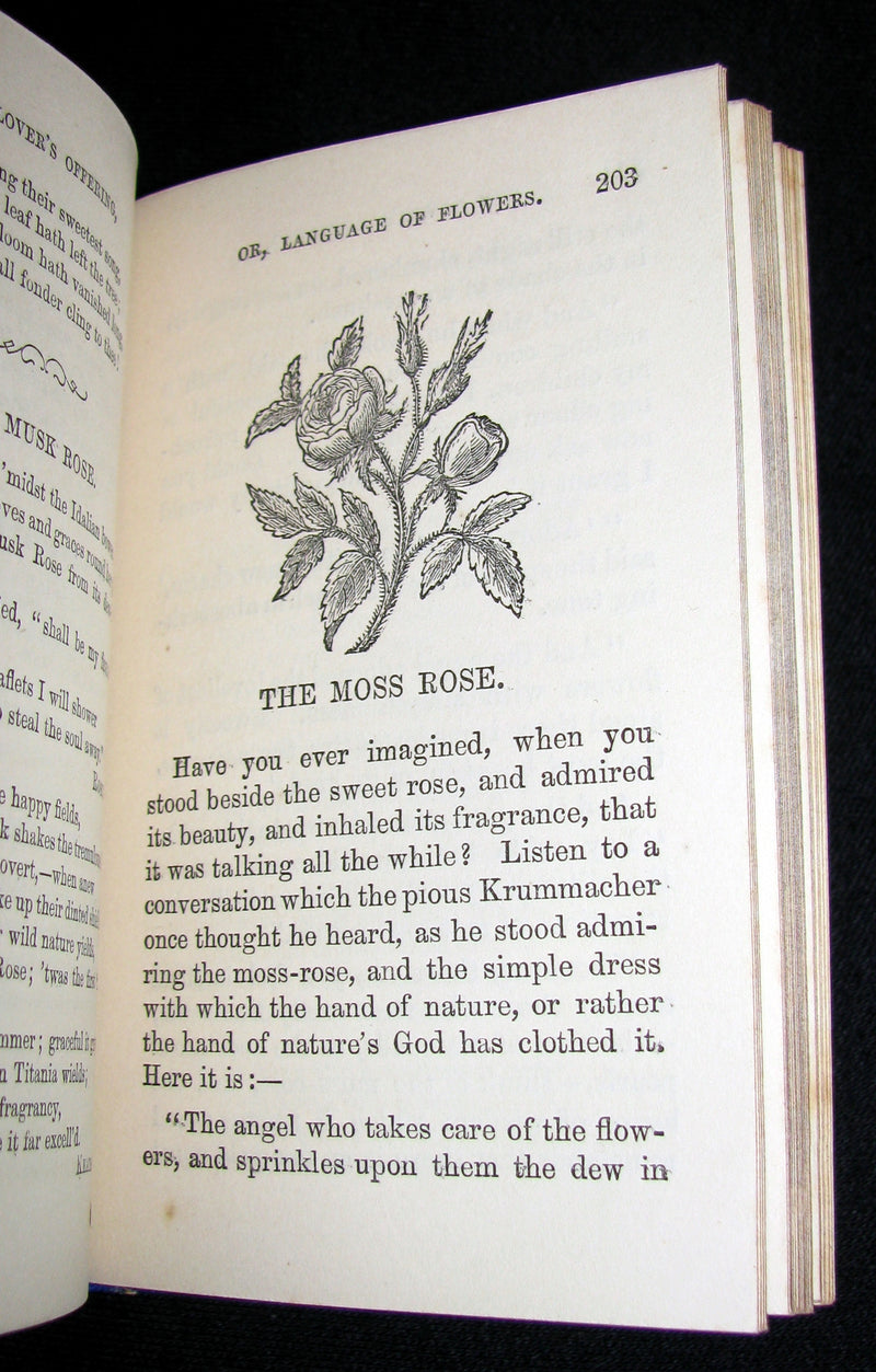 1868 Scarce Book ~ The Lover's Language of Flowers