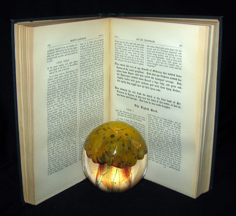 1897 Rare Book - Le Morte Darthur - King Arthur and of His Noble Knights of the Round Table