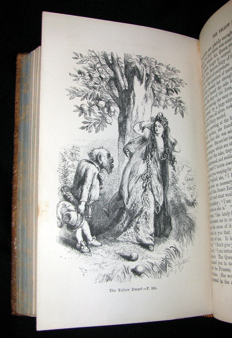 1868 Scarce Book - Fairy Tales by The Countess d`Aulnoy - Translated by J. R. Planché