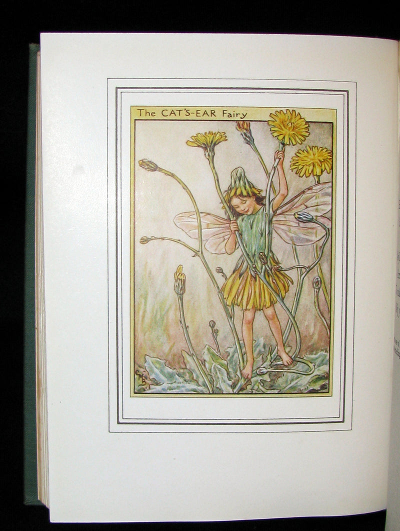 1950 First Edition - Cicely Mary Barker - FAIRIES OF THE FLOWERS AND TREES