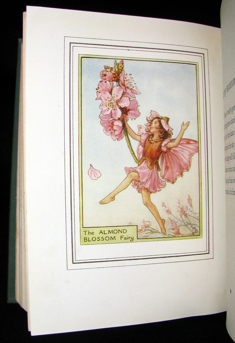 1950 First Edition - Cicely Mary Barker - FAIRIES OF THE FLOWERS AND TREES