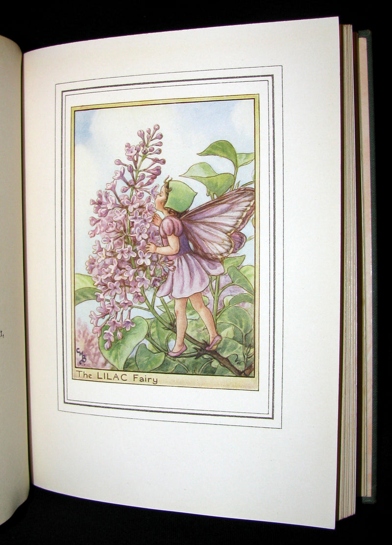 1950 First Edition - Cicely Mary Barker - FAIRIES OF THE FLOWERS AND TREES