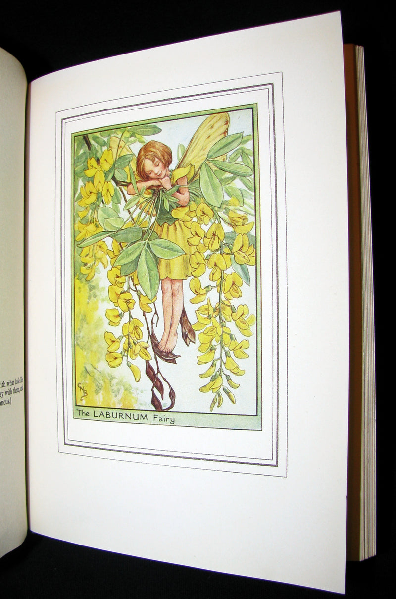 1950 First Edition - Cicely Mary Barker - FAIRIES OF THE FLOWERS AND TREES