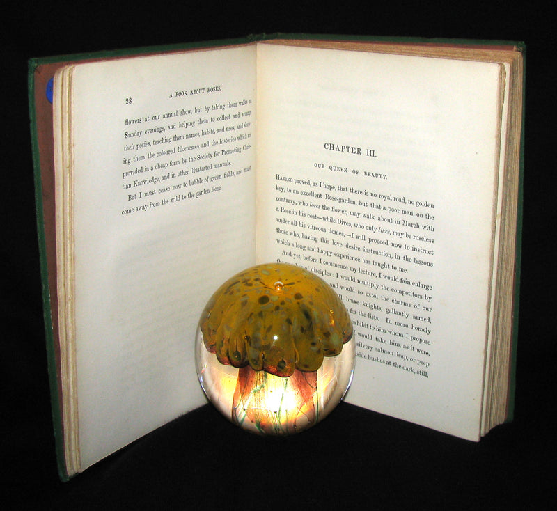 1870 Rare Victorian Gardening Book -  A book about Roses : How to grow and show them