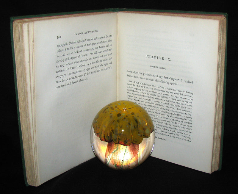 1870 Rare Victorian Gardening Book -  A book about Roses : How to grow and show them