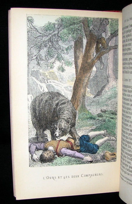 1890 Rare COLOR illustrated French Book ~ FABLES de LA FONTAINE