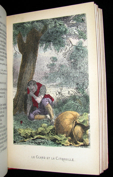 1890 Rare COLOR illustrated French Book ~ FABLES de LA FONTAINE