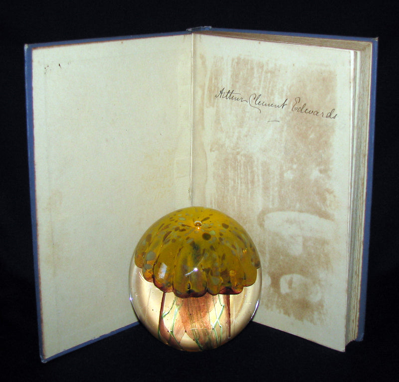 1890 Scarce Victorian Book - WHISPERS from the FAIRYLAND by Charles Roper