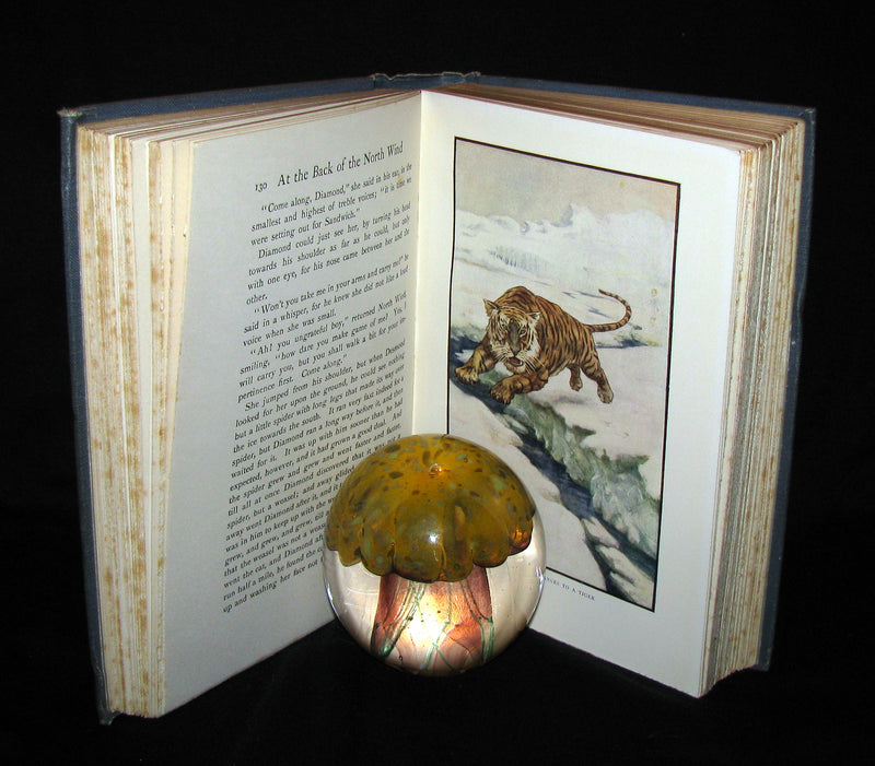 1911 Rare Edition - AT THE BACK OF THE NORTH WIND by George MacDonald.