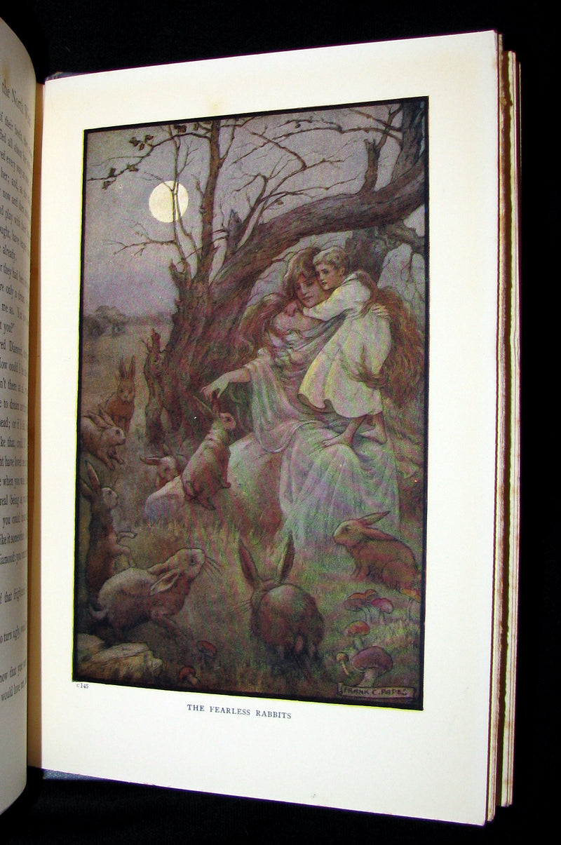 1911 Rare Edition - AT THE BACK OF THE NORTH WIND by George MacDonald.