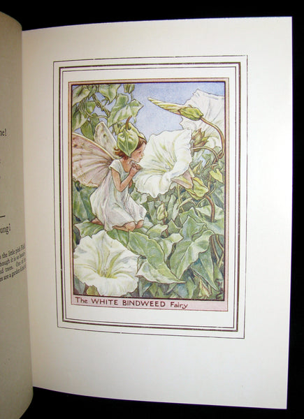1950 - Cicely Mary Barker - FAIRIES OF THE FLOWERS AND TREES - 1stED with Dust Jacket