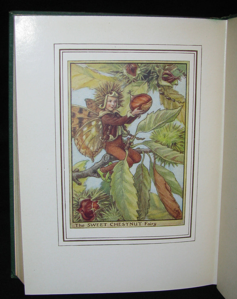1950 - Cicely Mary Barker - FAIRIES OF THE FLOWERS AND TREES - 1stED with Dust Jacket