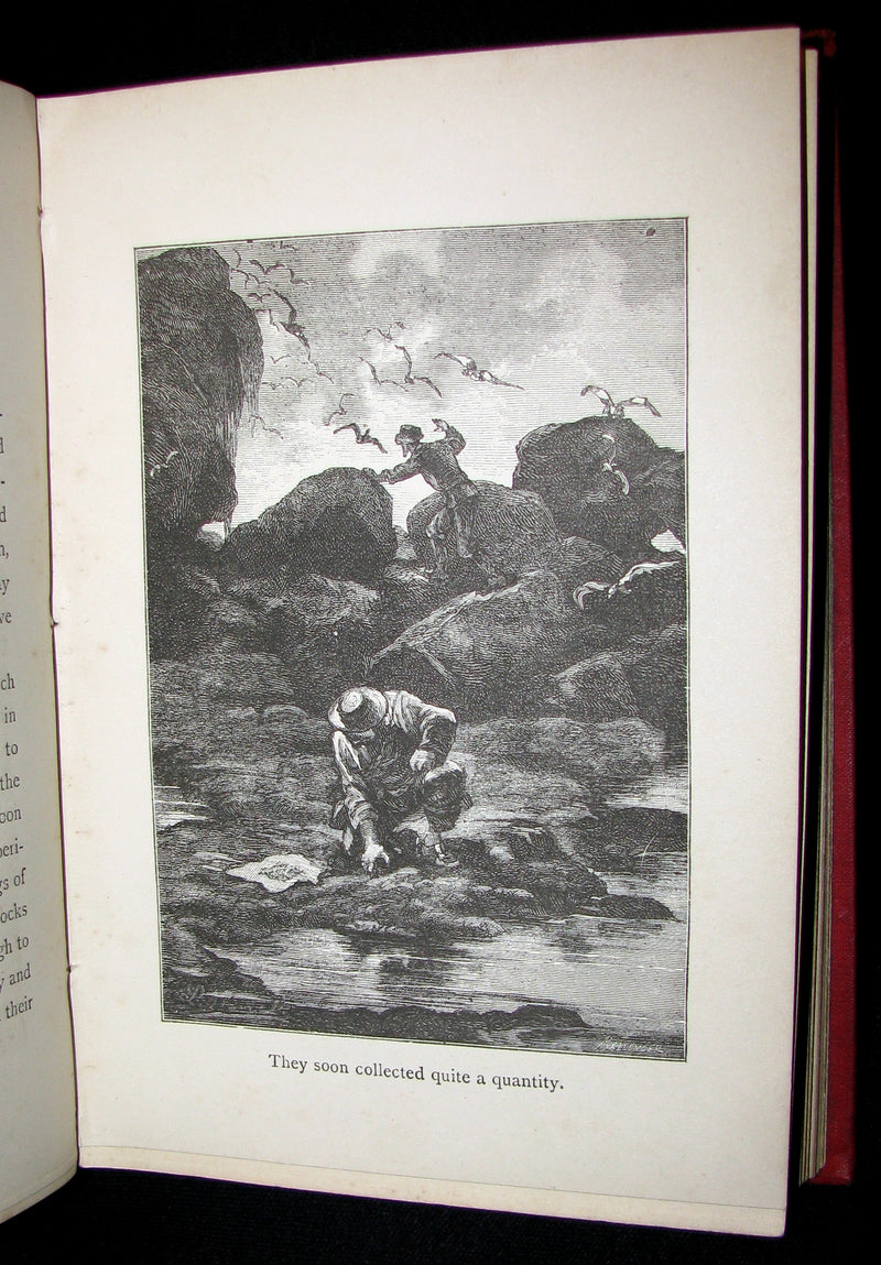 1899 Scarce Edition - JULES VERNE - Godfrey Morgan: A Californian Mystery