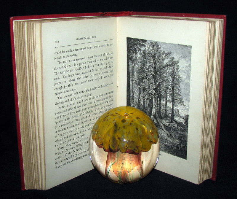 1899 Scarce Edition - JULES VERNE - Godfrey Morgan: A Californian Mystery