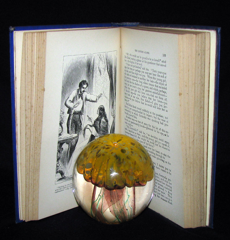 1880's Rare Victorian Book -  The Tiger Hunter by Captain Thomas Mayne Reid