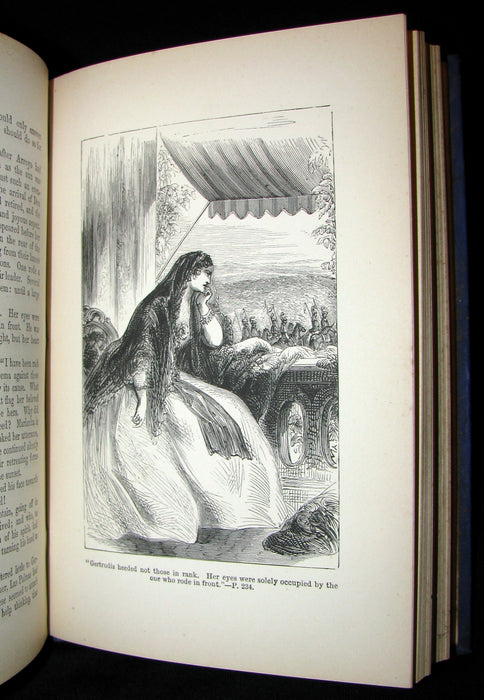 1880's Rare Victorian Book -  The Tiger Hunter by Captain Thomas Mayne Reid