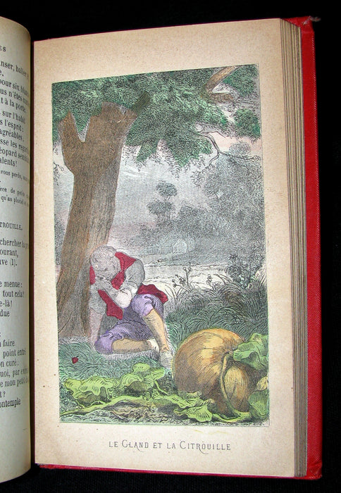 1890 Scarce COLOR illustrated French Book ~ FABLES de Jean de LA FONTAINE