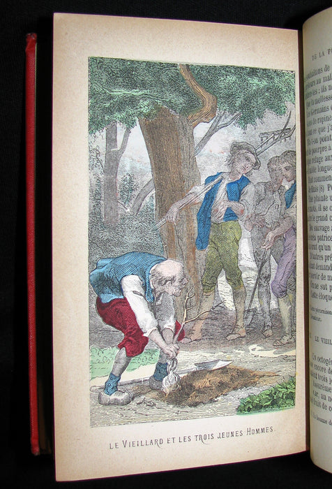 1890 Scarce COLOR illustrated French Book ~ FABLES de Jean de LA FONTAINE