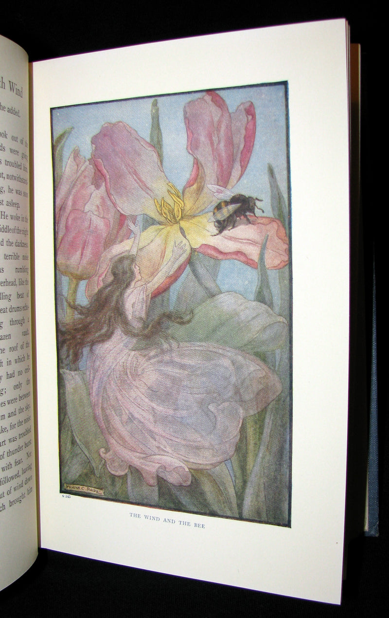1911 Rare Edition - AT THE BACK OF THE NORTH WIND by George MacDonald