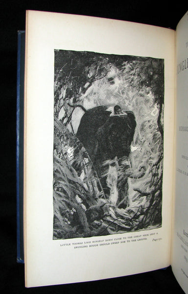 1895 Rare Book - The Jungle Book by Rudyard Kipling -  First Edition, 3rd Printing