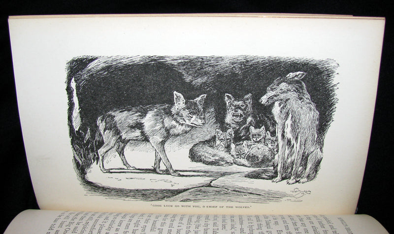 1895 Rare Book - The Jungle Book by Rudyard Kipling -  First Edition, 3rd Printing