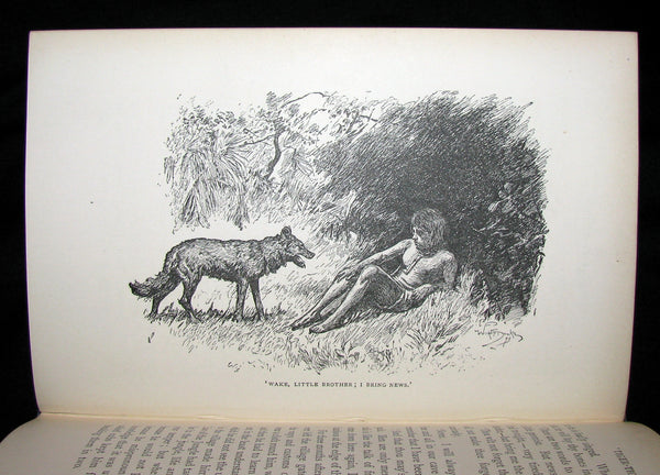 1895 Rare Book - The Jungle Book by Rudyard Kipling -  First Edition, 3rd Printing