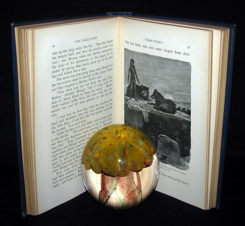 1895 Rare Book - The Jungle Book by Rudyard Kipling -  First Edition, 3rd Printing