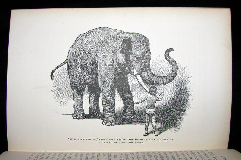1895 Rare Book - The Jungle Book by Rudyard Kipling -  First Edition, 3rd Printing