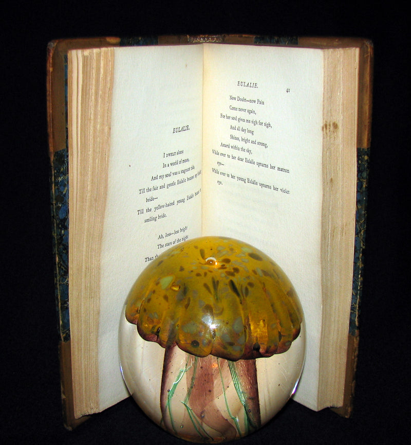 1885 Rare Book - The POEMS Of EDGAR ALLAN POE & Essay on His Poetry by Andrew Lang