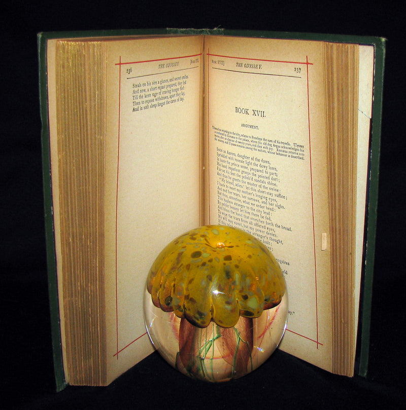 1883 Rare Book - The Odyssey of Homer translated by Pope with Flaxman's Designs