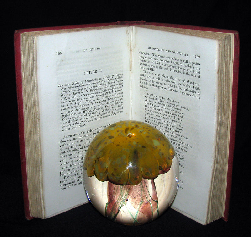 1831 Rare 2ndED Walter Scott - Letters on Demonology & Witchcraft - WITCHES & FAIRIES