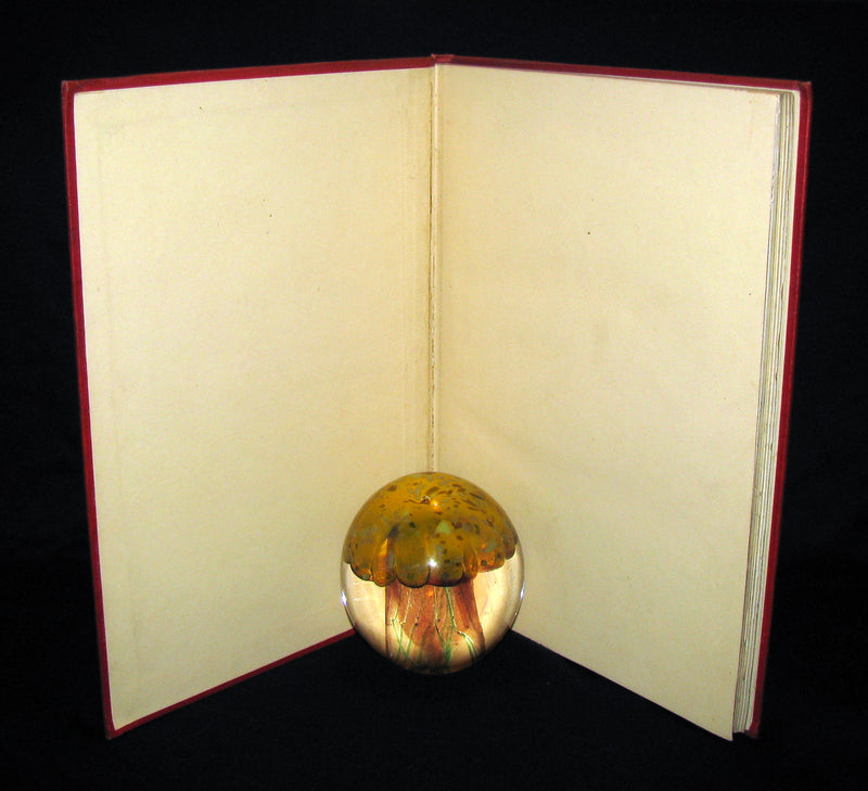 1879 Rare Victorian Book - The Story Without An End by Sarah Austin Illustrated by Eleanor Vere Boyle