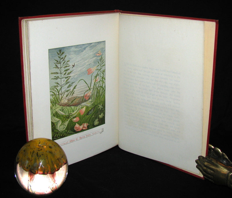 1879 Rare Victorian Book - The Story Without An End by Sarah Austin Illustrated by Eleanor Vere Boyle