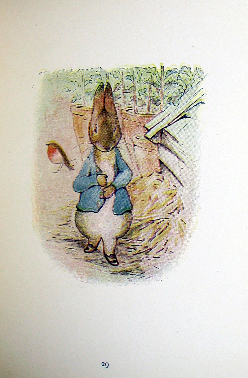 1911 Rare Early American Edition - Beatrix Potter  - THE TALE OF PETER RABBIT