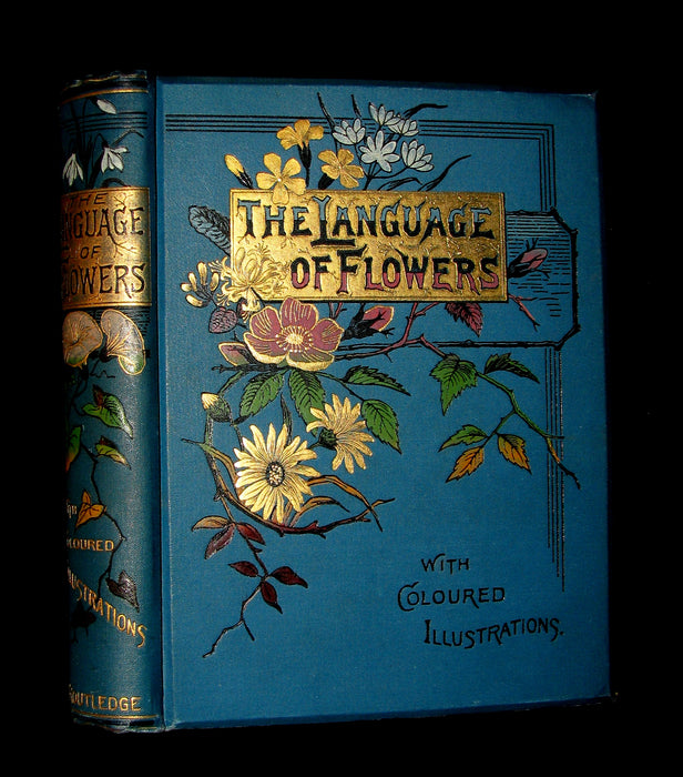 1880 Rare Floriography  Book ~ The Language of Flowers by Robert Tyas, Color Illustrated.