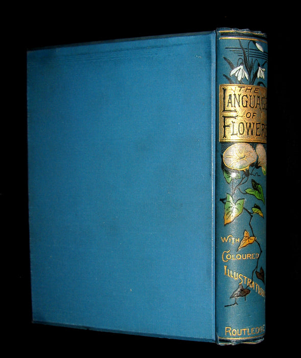 1880 Rare Floriography  Book ~ The Language of Flowers by Robert Tyas, Color Illustrated.