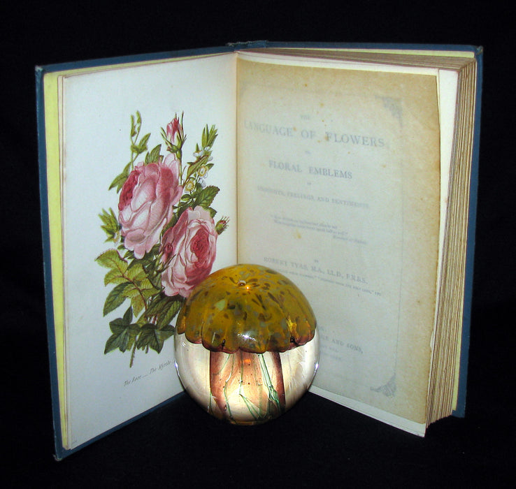 1880 Rare Floriography  Book ~ The Language of Flowers by Robert Tyas, Color Illustrated.