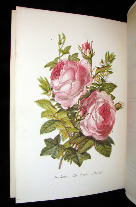 1880 Rare Floriography  Book ~ The Language of Flowers by Robert Tyas, Color Illustrated.