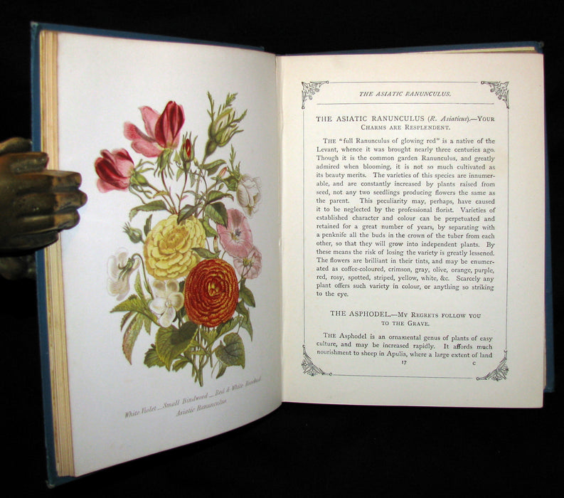 1880 Rare Floriography  Book ~ The Language of Flowers by Robert Tyas, Color Illustrated.