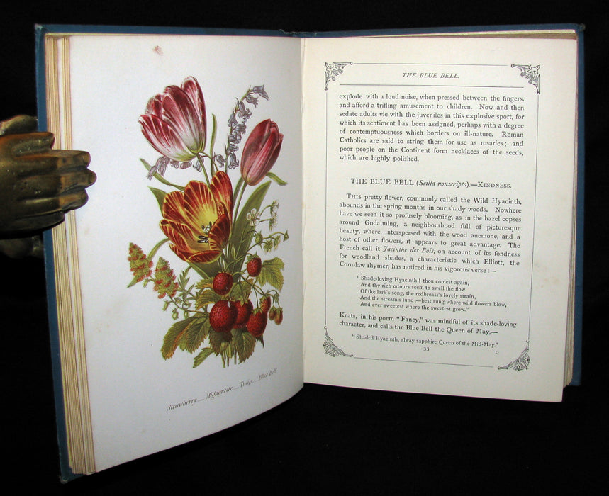 1880 Rare Floriography  Book ~ The Language of Flowers by Robert Tyas, Color Illustrated.