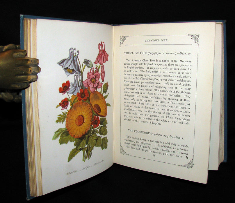 1880 Rare Floriography  Book ~ The Language of Flowers by Robert Tyas, Color Illustrated.