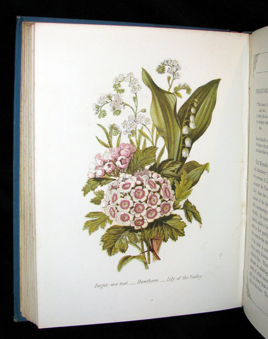 1880 Rare Floriography  Book ~ The Language of Flowers by Robert Tyas, Color Illustrated.