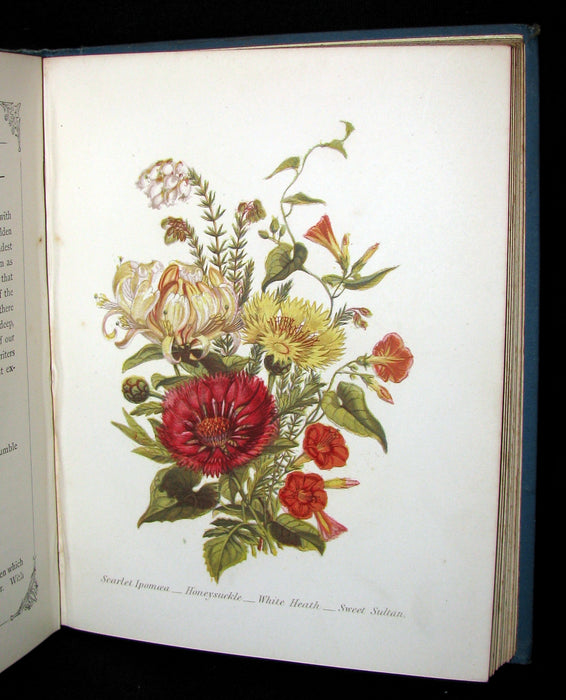 1880 Rare Floriography  Book ~ The Language of Flowers by Robert Tyas, Color Illustrated.