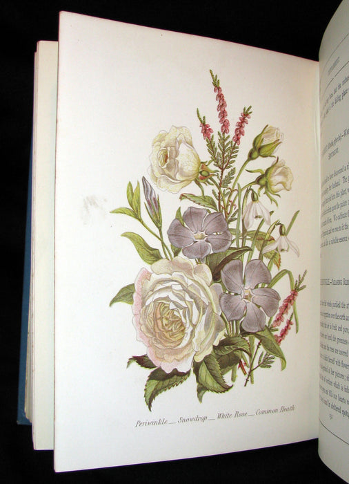 1880 Rare Floriography  Book ~ The Language of Flowers by Robert Tyas, Color Illustrated.