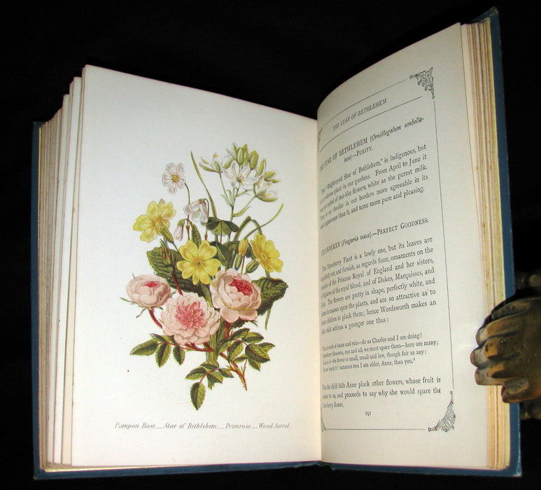 1880 Rare Floriography  Book ~ The Language of Flowers by Robert Tyas, Color Illustrated.