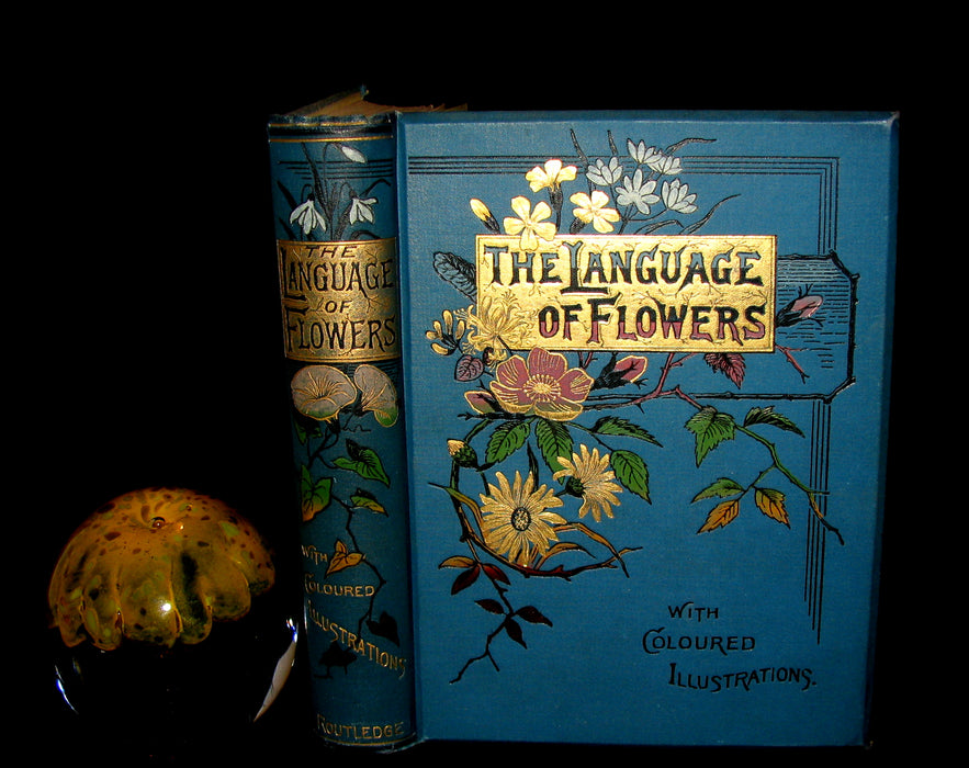 1880 Rare Floriography  Book ~ The Language of Flowers by Robert Tyas, Color Illustrated.