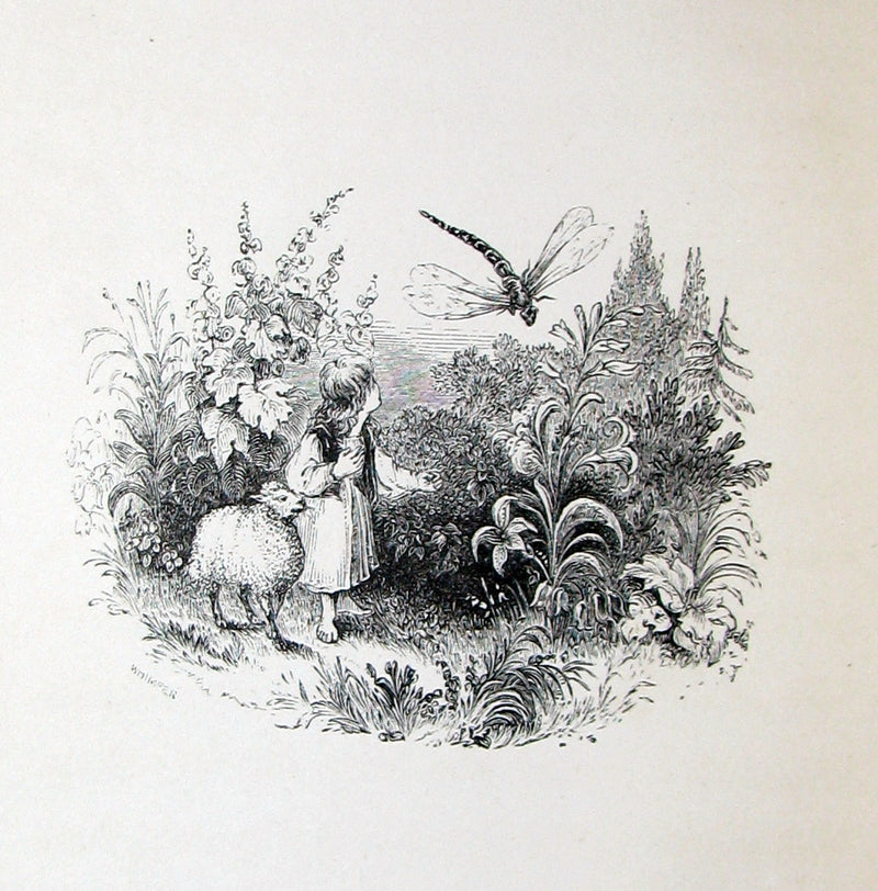 1842 Scarce Victorian Book - The Child and the Hermit; a sequel to the Story without an End