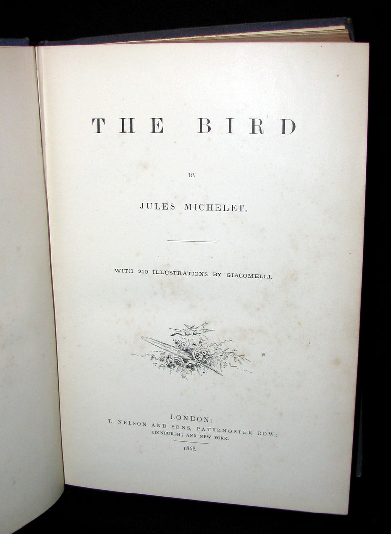 1868 Rare Victorian Book  ~ The BIRD by Jules Michelet with 210 illustrations by Giacomelli