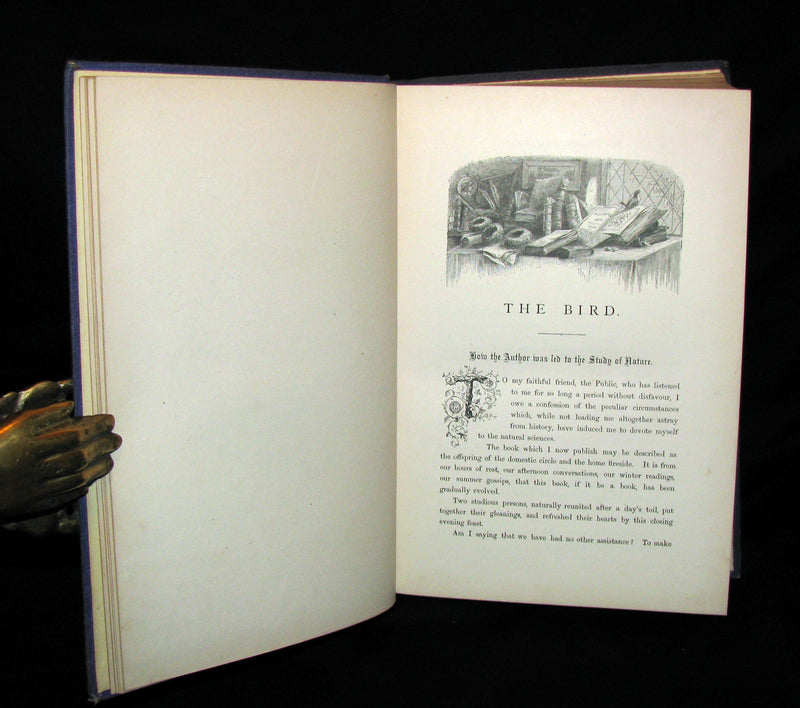1868 Rare Victorian Book  ~ The BIRD by Jules Michelet with 210 illustrations by Giacomelli